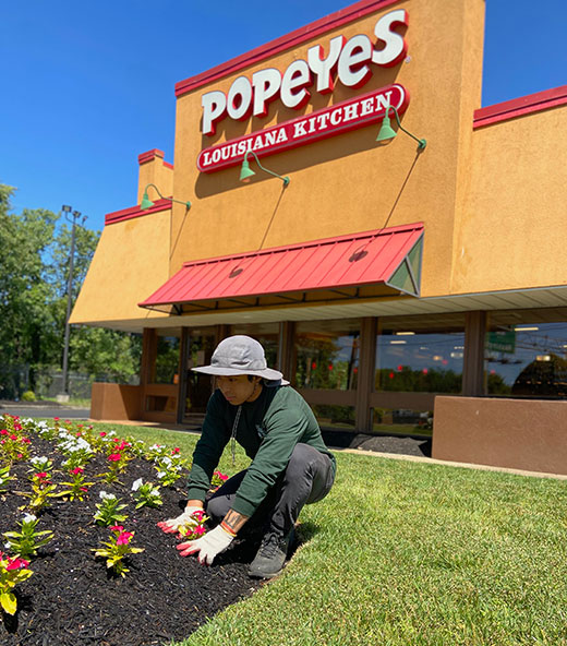 popeyes-landscaping